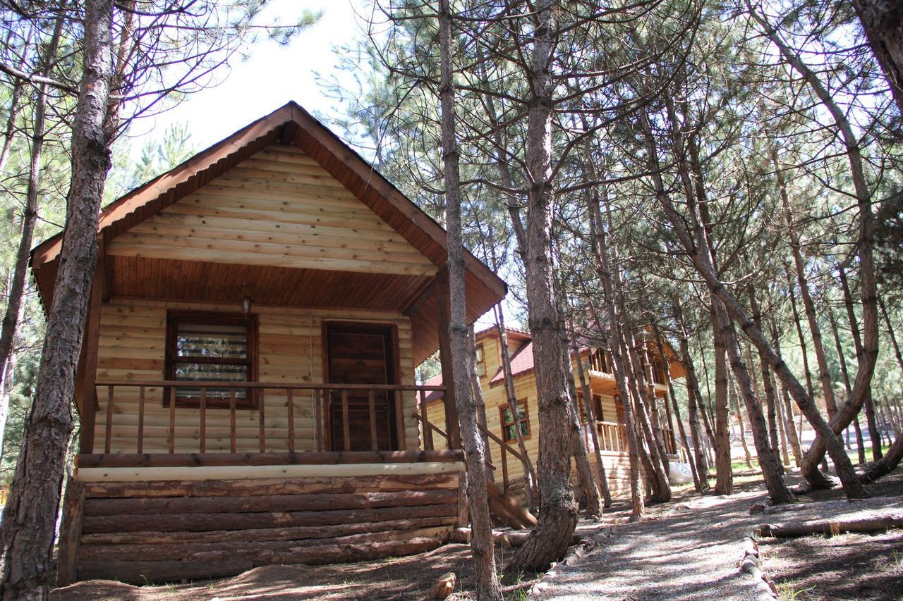 Cam Pinari Doga Evleri Villa Mengen Exterior photo