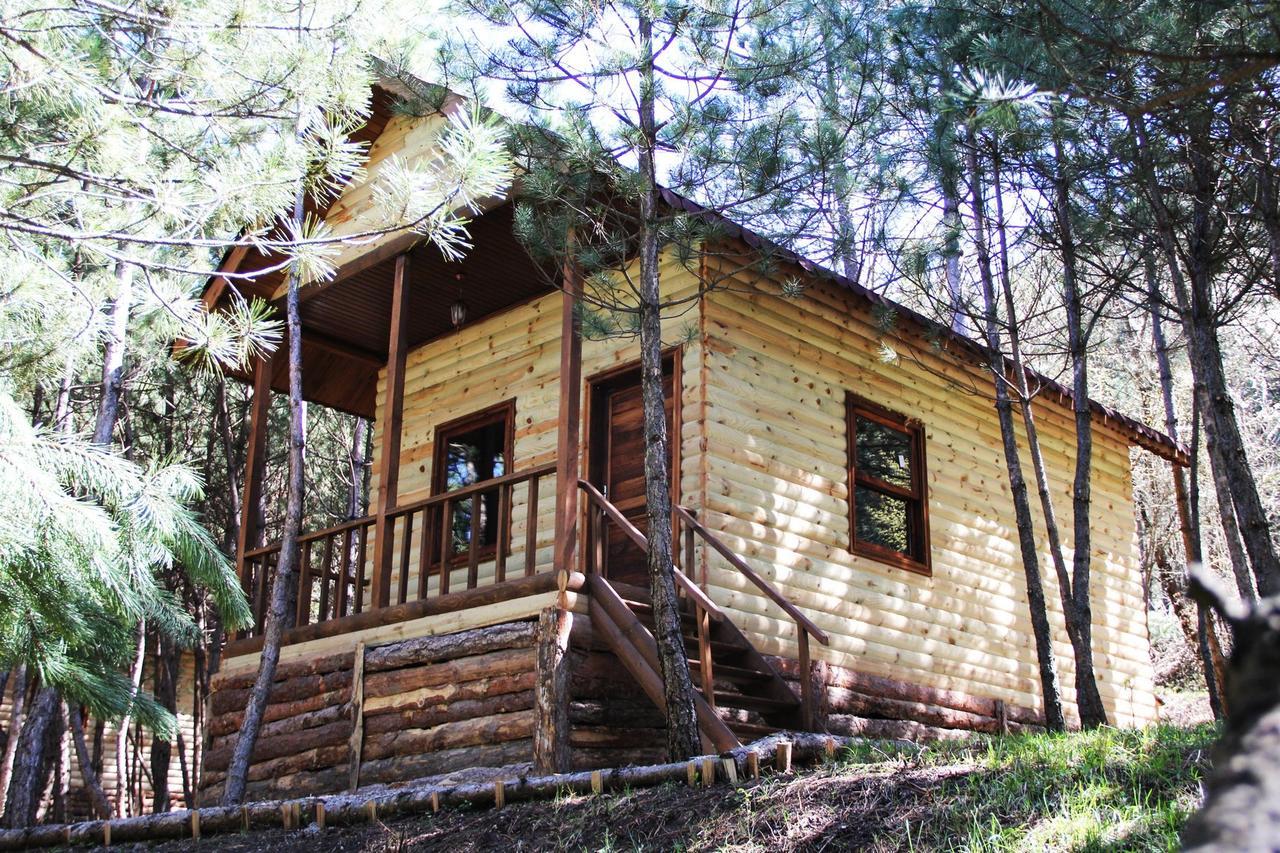 Cam Pinari Doga Evleri Villa Mengen Exterior photo